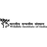 Wildlife institute Of India 2024