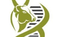 "NIAB Hyderabad Recruitment 2025 – Technical Assistant, Young Professional & Project Scientist Vacancies"