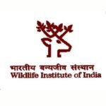 WII Recruitment 2025 notification for Technician, Lab Attendant, and Cook posts – Apply offline for permanent central govt jobs.