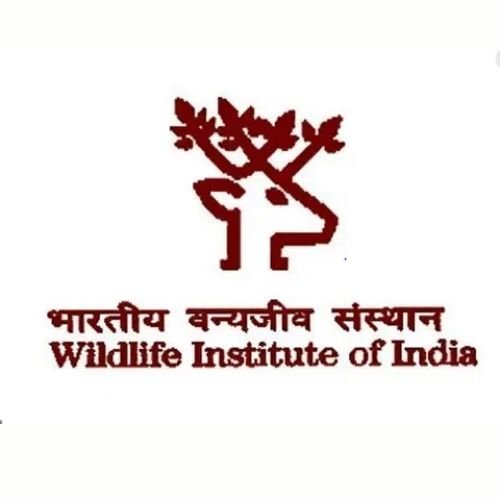 WII Recruitment 2025 notification for Technician, Lab Attendant, and Cook posts – Apply offline for permanent central govt jobs.